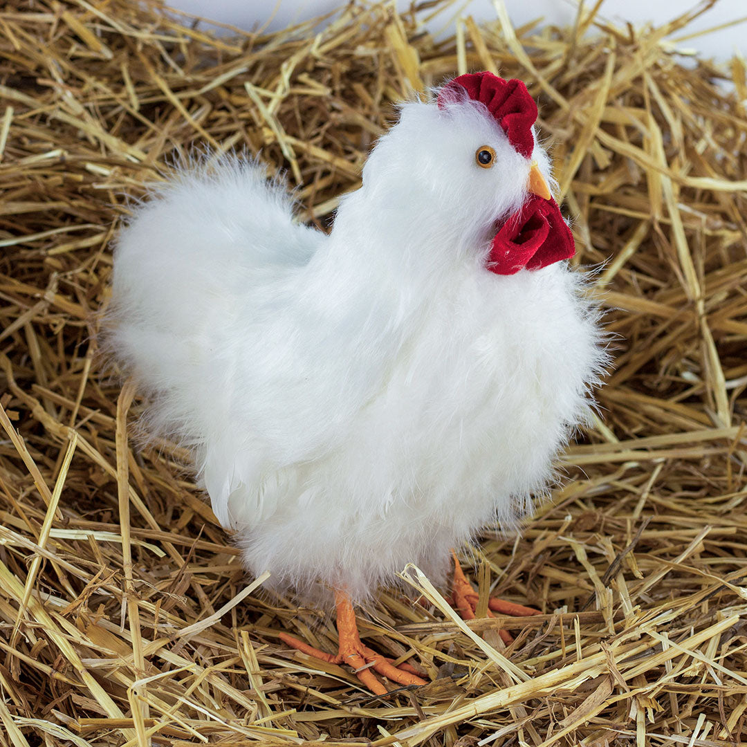 White Hen Farmhouse Decor