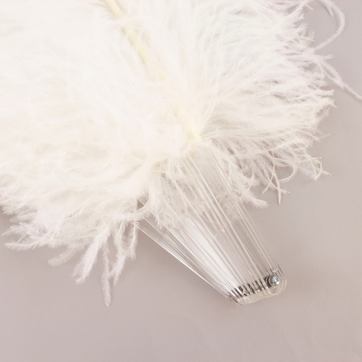 Ostrich Prime Quality Fan W/Acrylic Staves Right Facing 22 x 40 inch --White