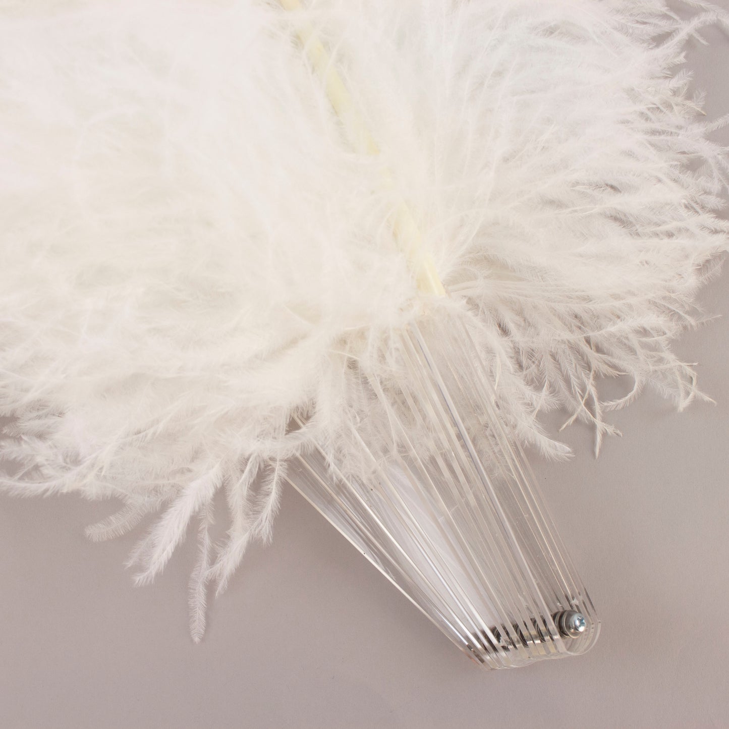 Ostrich Prime Quality Fan W/Acrylic Staves Right Facing 22 x 40 inch --White