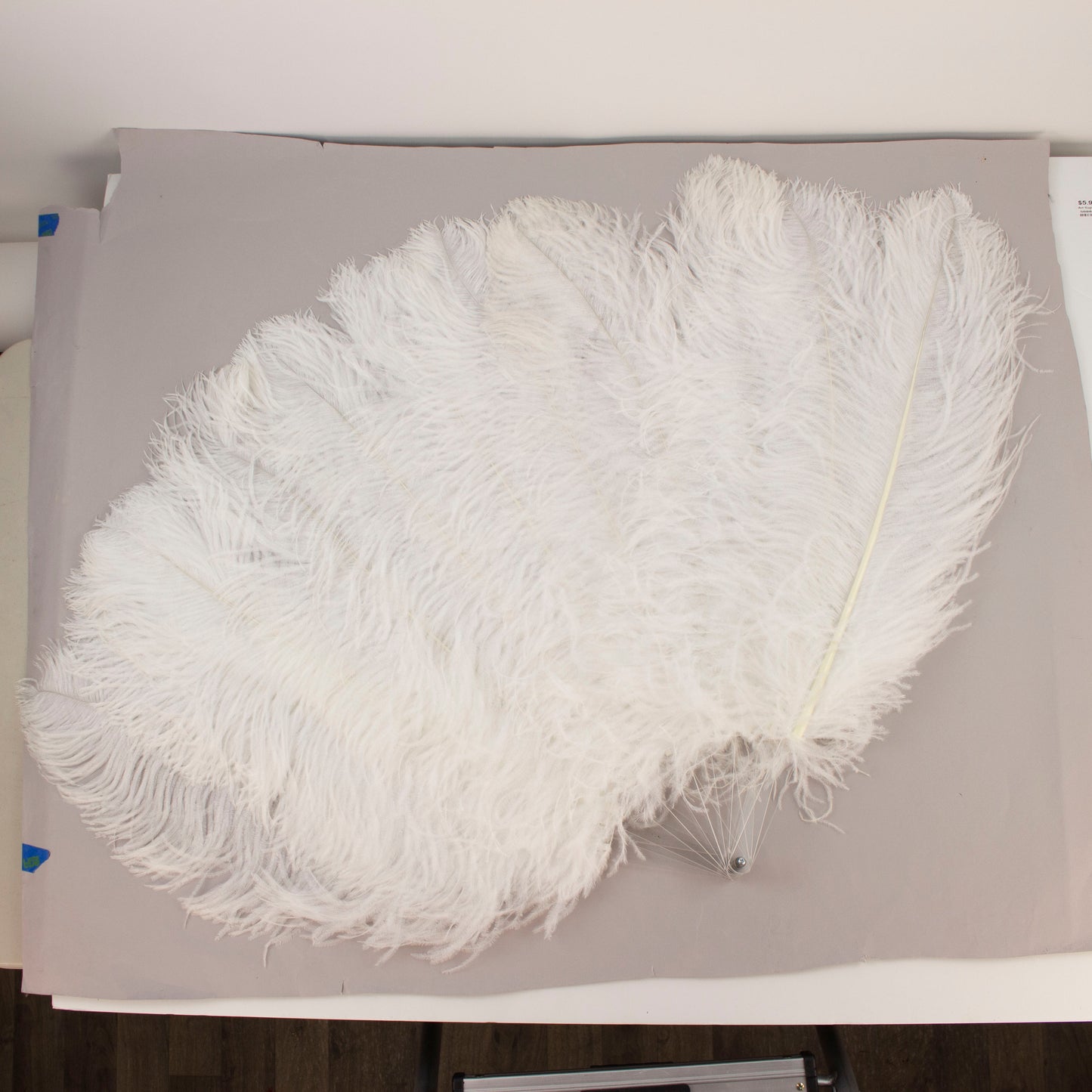 Ostrich Prime Quality Fan W/Acrylic Staves Right Facing 22 x 40 inch --White