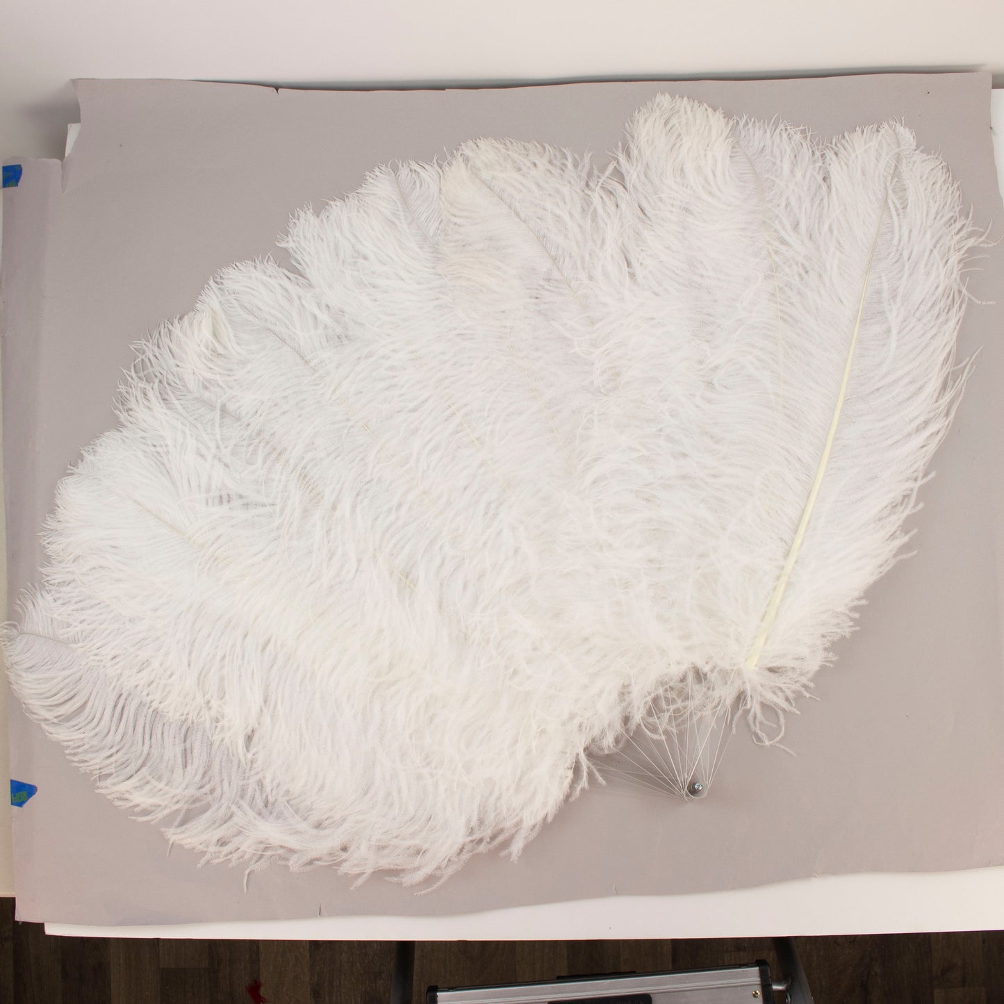 Ostrich Prime Quality Fan W/Acrylic Staves Right Facing 22 x 40 inch --White