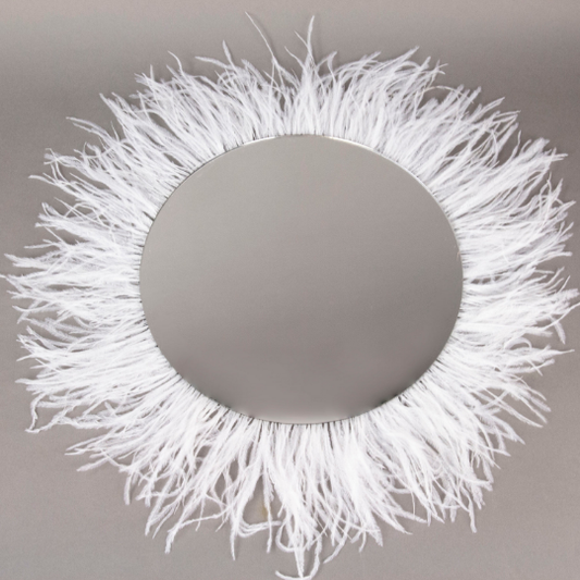 White Ostrich Feather Mirror Wall Art - Feathers