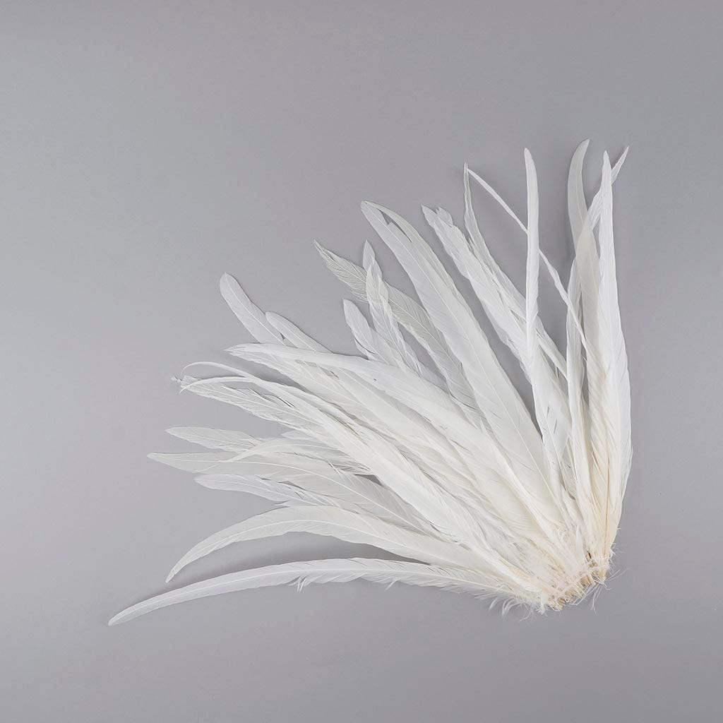 14-16 Ostrich Feathers: White (6) [] 