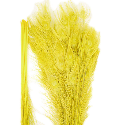 Peacock Feathers | 25-40" Tail Eyes | Fluorescent Yellow