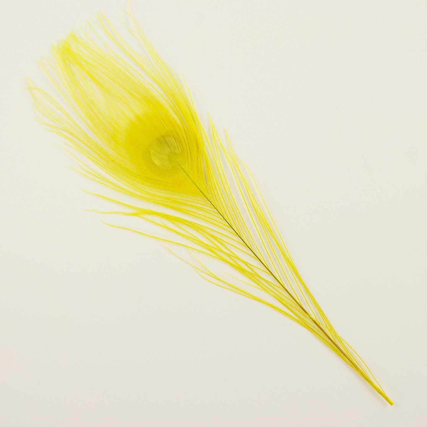 Peacock Feathers | 8-15 Tail Eyes | Fluorescent Yellow (Bulk)