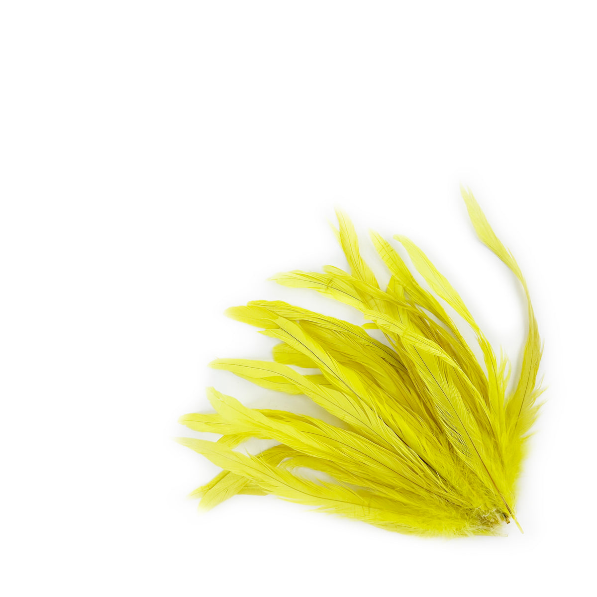 ROOSTER COQUE TAIL FEATHERS BLEACH DYED 7-10” - 25 PC/PKG - Bright Yellow