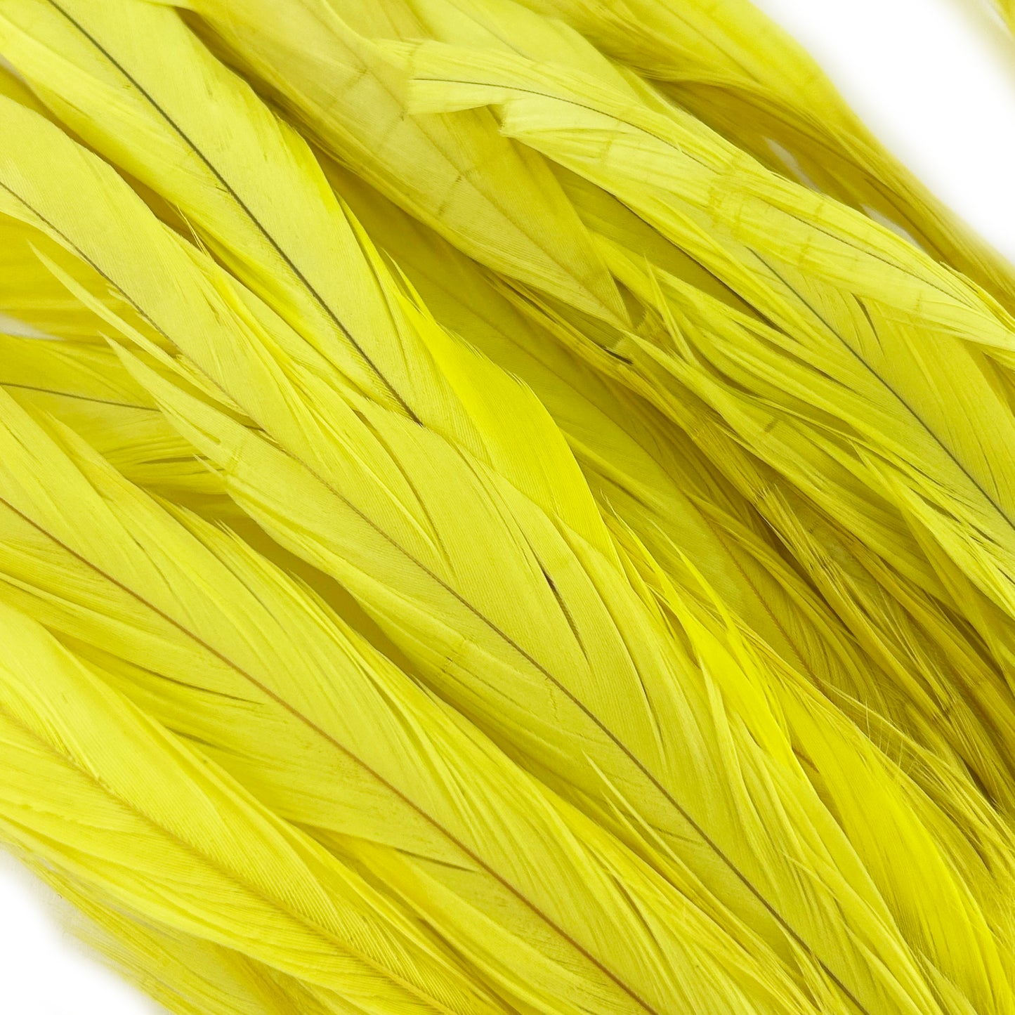 ROOSTER COQUE TAIL FEATHERS BLEACH DYED 7-10” - 25 PC/PKG - Bright Yellow