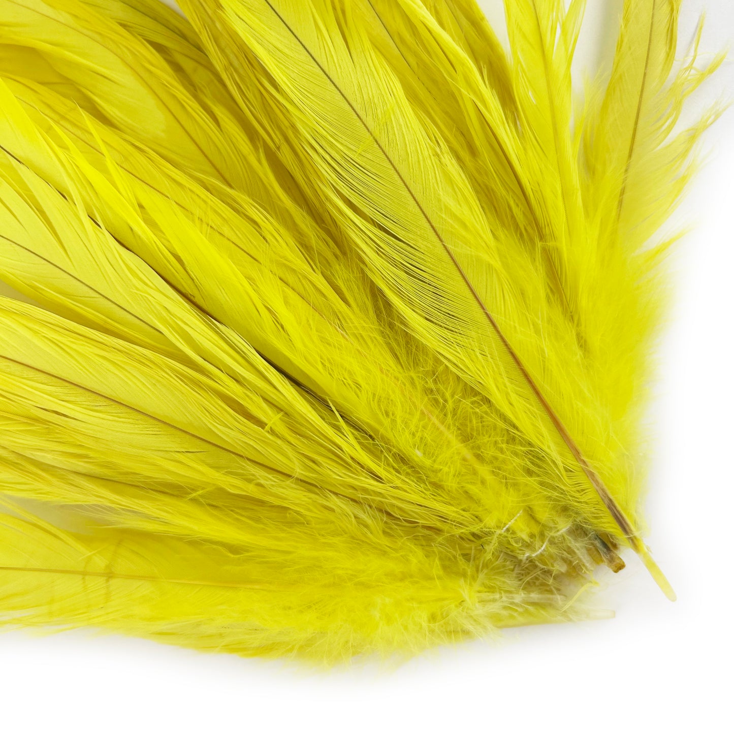 ROOSTER COQUE TAIL FEATHERS BLEACH DYED 7-10” - 25 PC/PKG - Bright Yellow