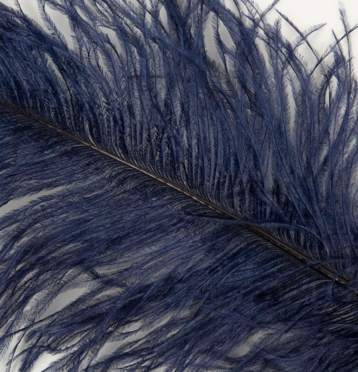 Ostrich Tails 16-18 inch  - 30 PC - Navy