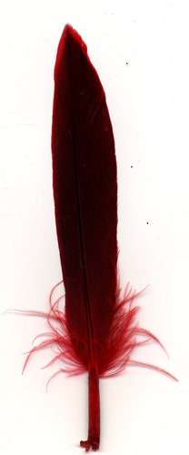 Duck Cosse Feathers - Red
