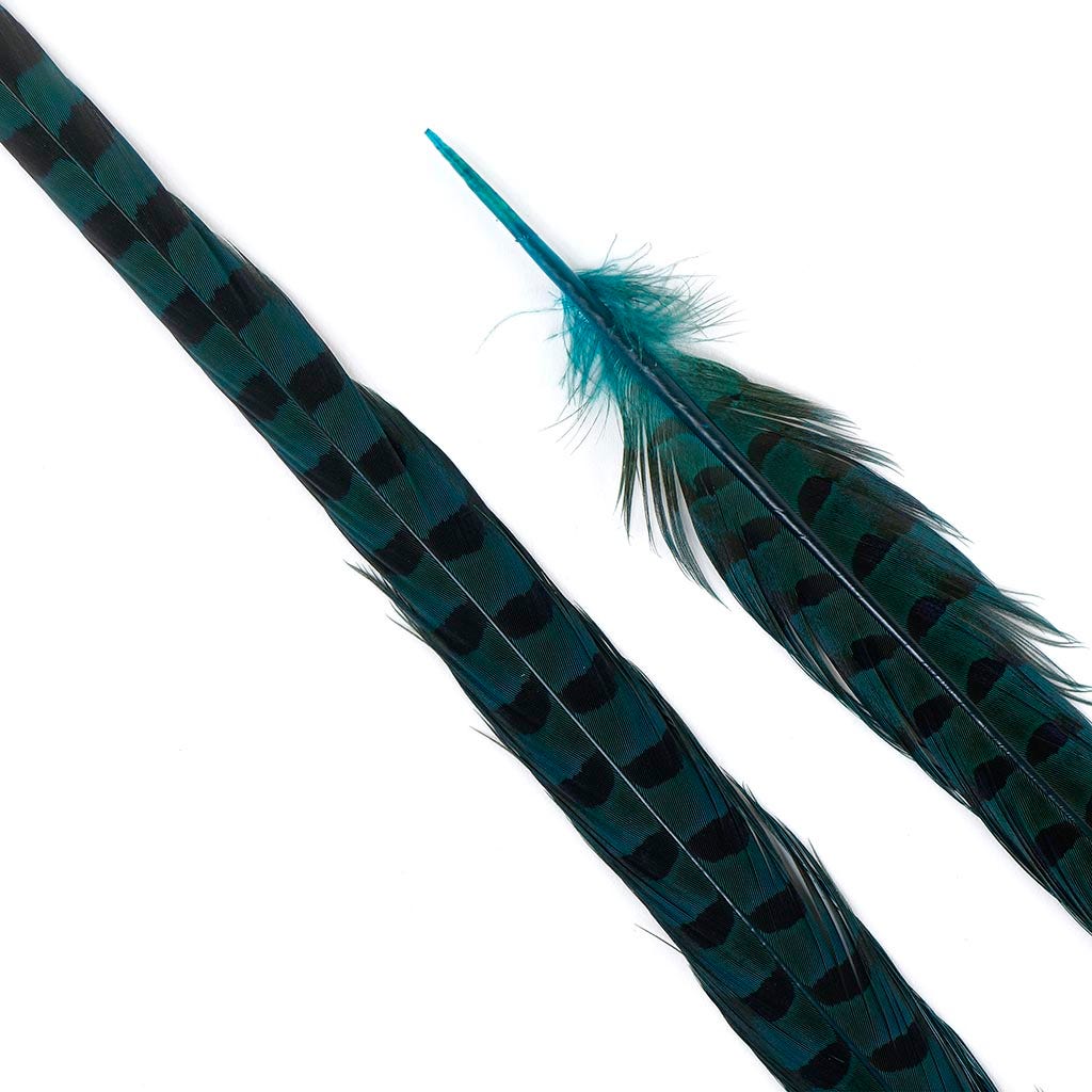 Dyed Dark Aqua Ringneck Pheasant Tails  Buy 20-24 Inches 5 Pieces Feather  Pack – Zucker Feather Products, Inc.