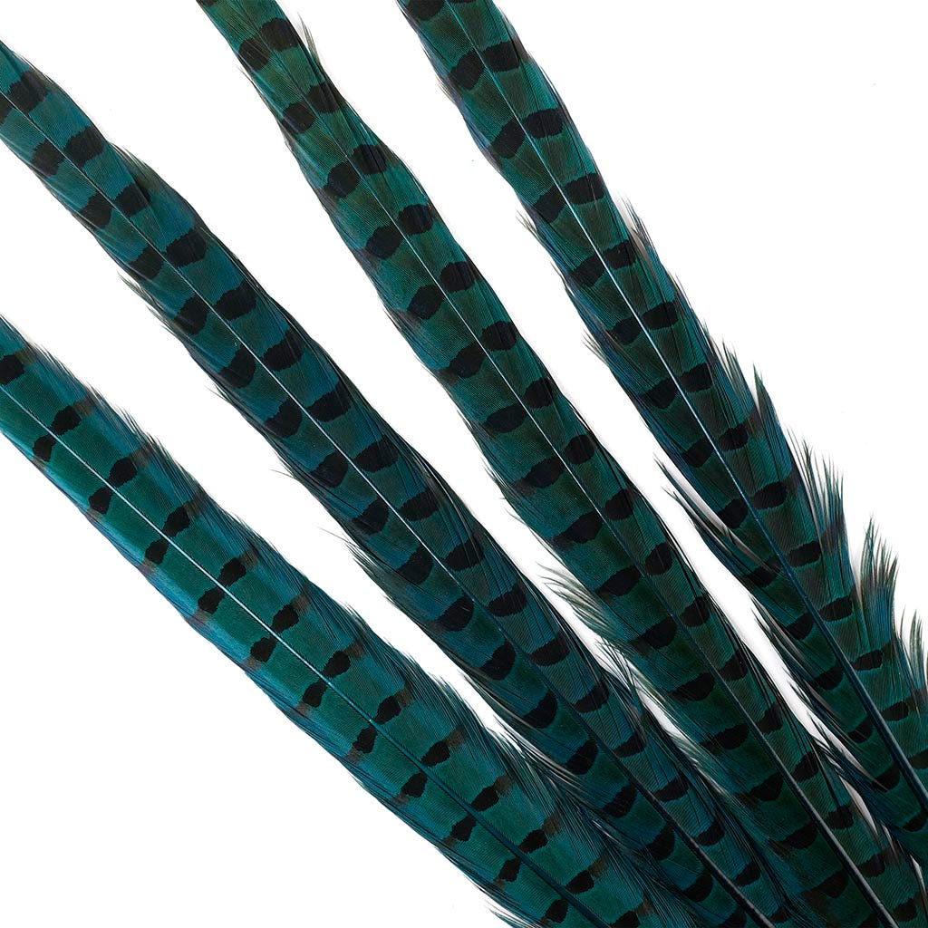 Dyed Dark Aqua Ringneck Pheasant Tails Buy 20-24 Inches