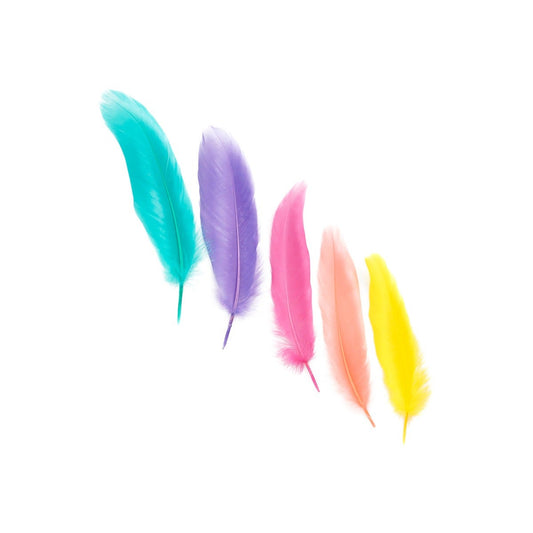 Loose Goose Satinettes Feathers Mix Dyed  - Cakemix