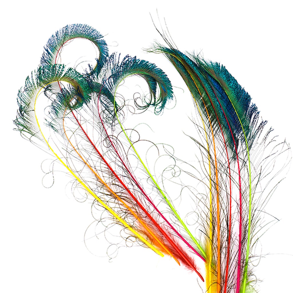 Peacock Swords Stem Neon Mix Dyed Feather | Buy Craft Feathers