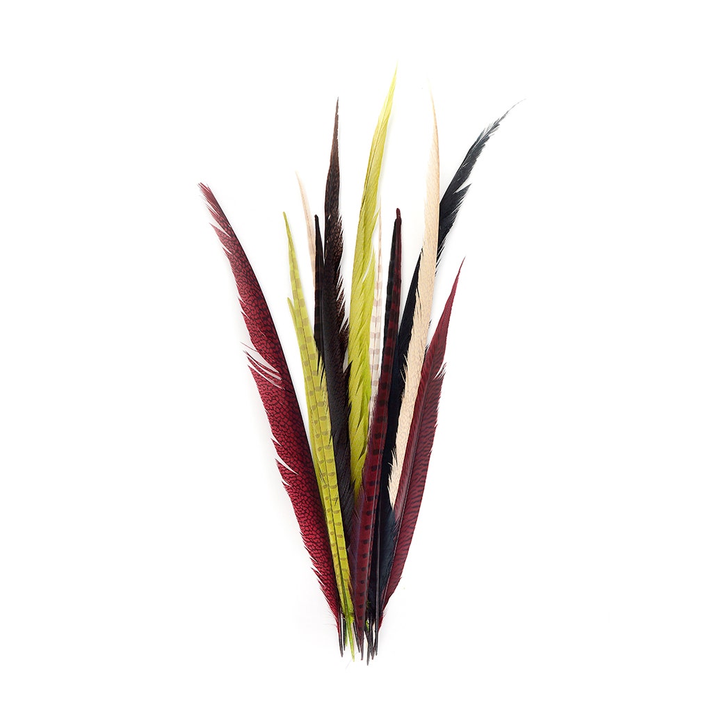 Zucker Assorted Pheasant Tails Mix Dyed Feathers - 8 - 14 inch - 25pcs - Harvest Mix