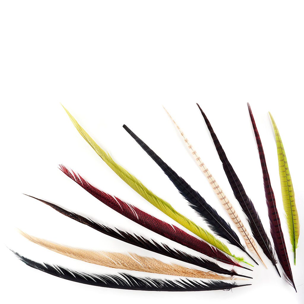 Assorted Pheasant Tails Mix Dyed HARVEST