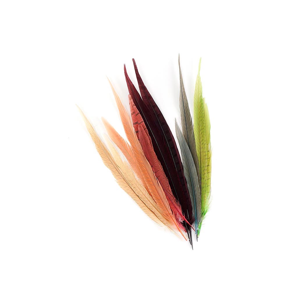 Pheasant Ringneck Tails Dyed - Designer Mix