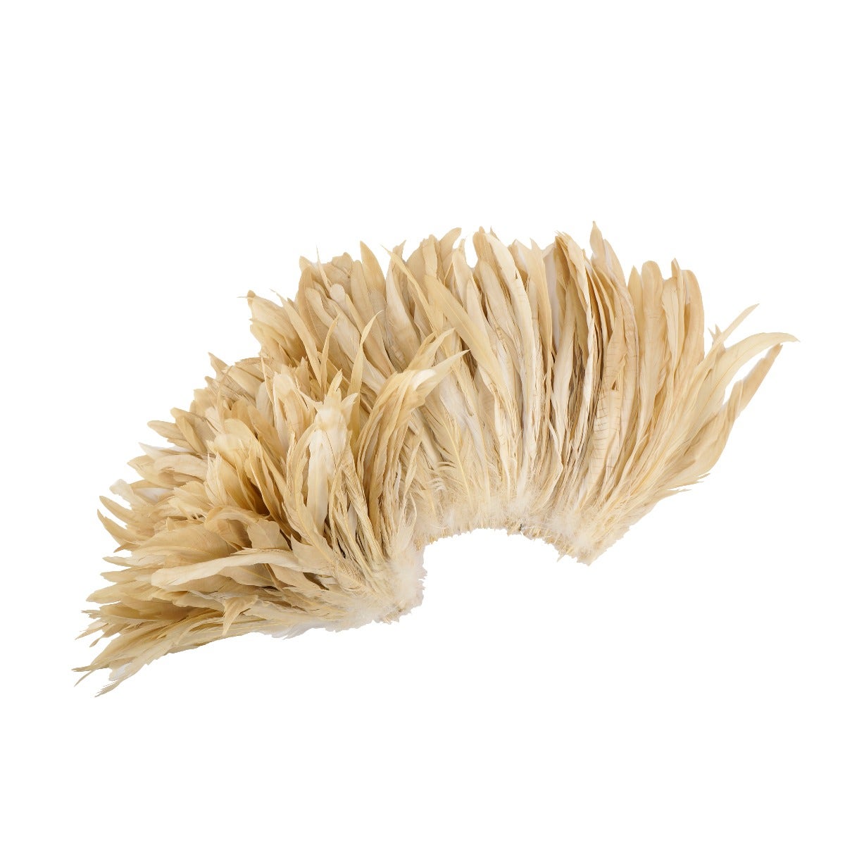 ROOSTER COQUE TAILS FEATHERS BLEACH DYED 7-10” - 1/2 Yard (18") - Beige