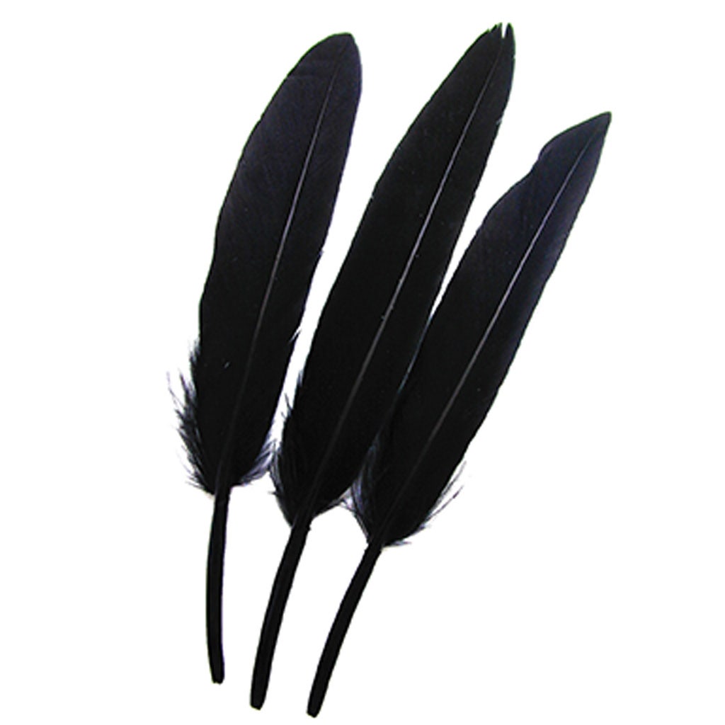 Duck Cosse Feathers - Black