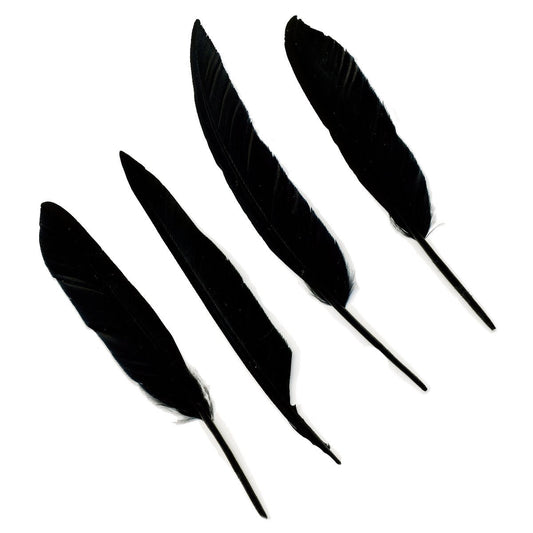 Duck Pointer Feathers - Black