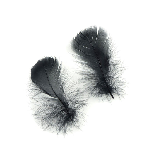 Bulk Goose Coquille Feathers Dyed - Black  - 1/4 lb