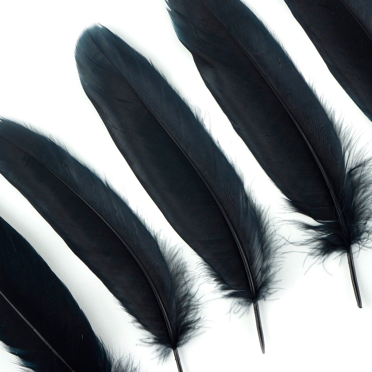 Goose Pallet Feathers 6-8" - 12 pc - Black