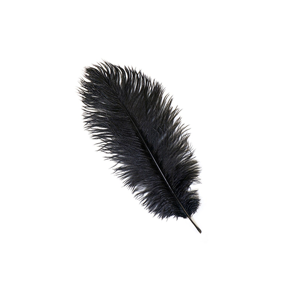 Ostrich Feathers 13-16 Drabs - Black
