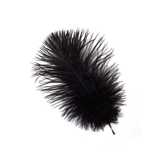 Black ostrich feathers — Amahle Designs