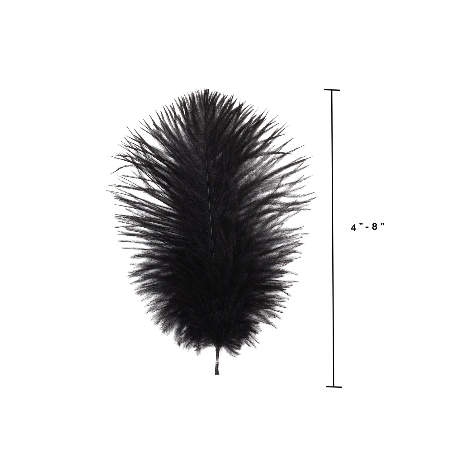 Ostrich Feathers 4-8" Drabs - Black