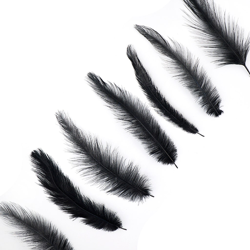 Rhea Tail Feathers Selected - Black