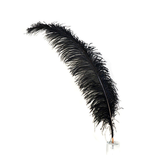 Large Ostrich Feathers - 18-24" Spads - Black