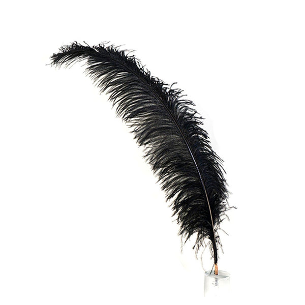 Bulk Ostrich Feathers-Damaged Femina - Silver –  by Zucker  Feather Products, Inc.