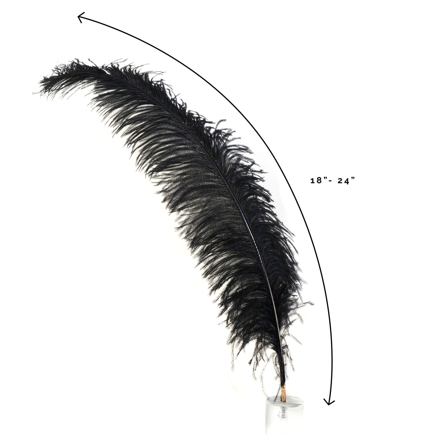 1/2 lb 19-24 Black Ostrich Feathers
