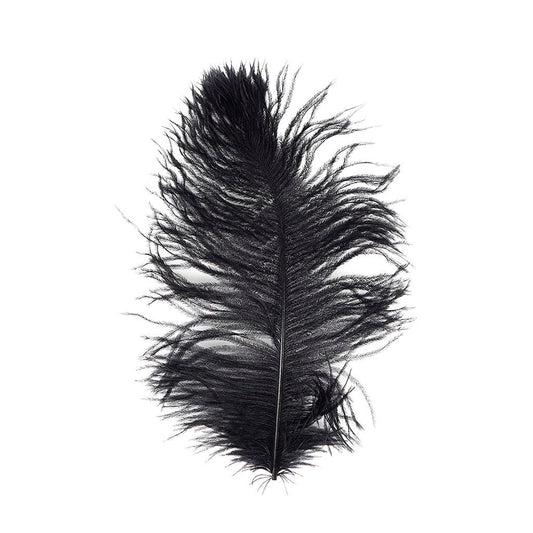 Ostrich Tail Feathers - Cut Tops - 5-11 inch - 12 pcs  - Black