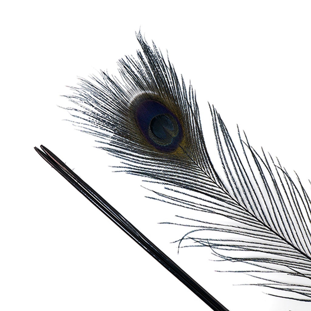 Peacock Tail Eyes Bleached/Dyed - 25-40 Inch - 10 PCS - Black