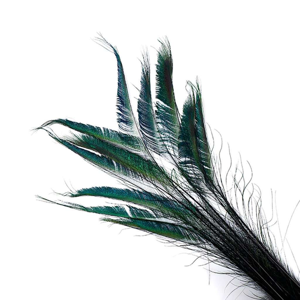 Bulk Peacock Sword Feathers Stem Dyed - 100 pc  25-40" - Black