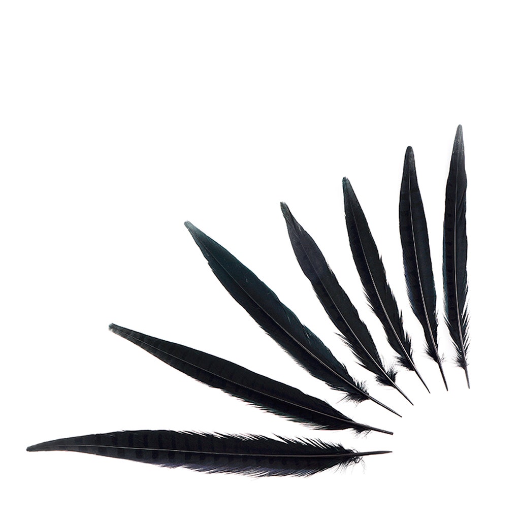 10 Pieces Black Ostrich Tail Large Feathers Centerpiece Halloween Costume  12-16