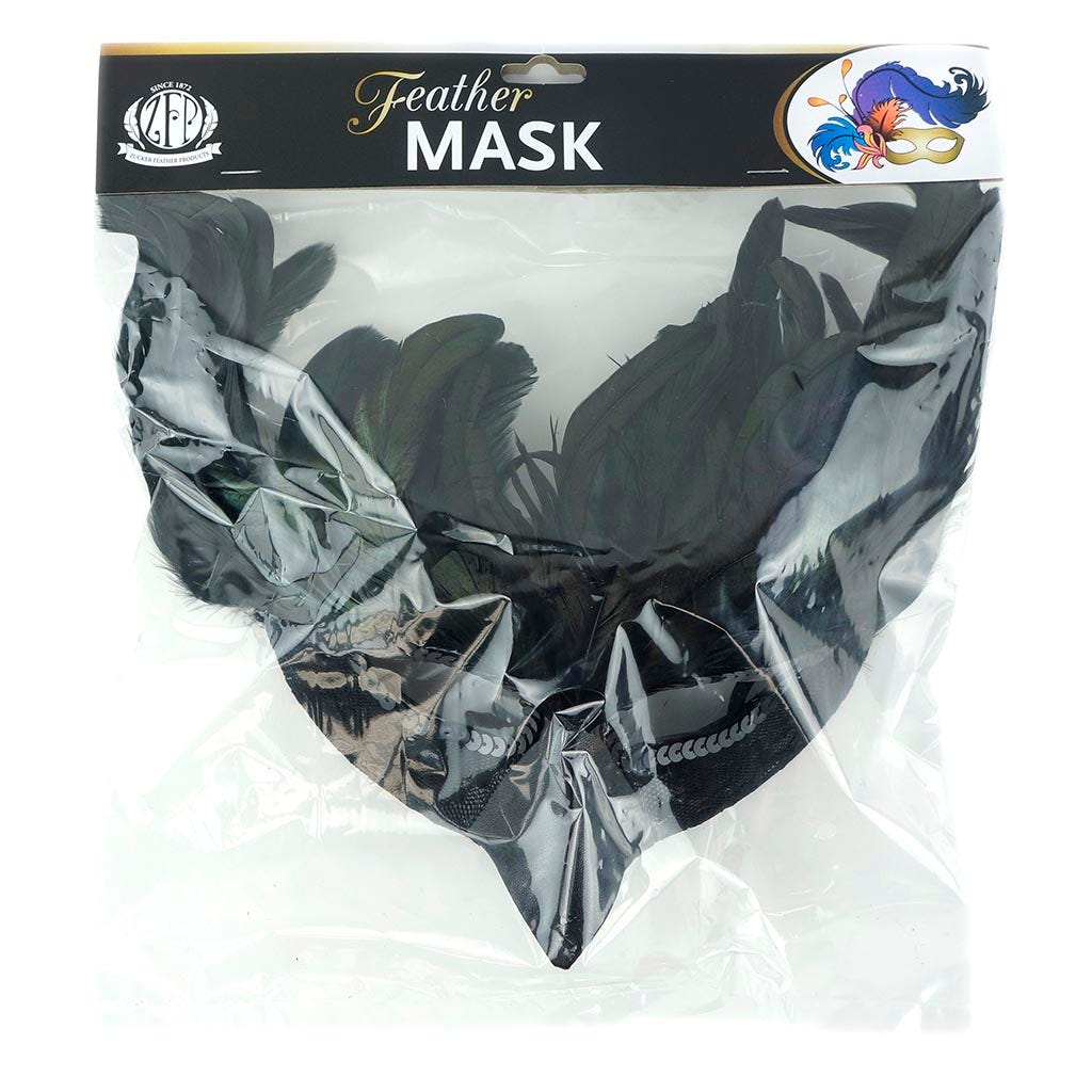 Black Raven Feather Mask
