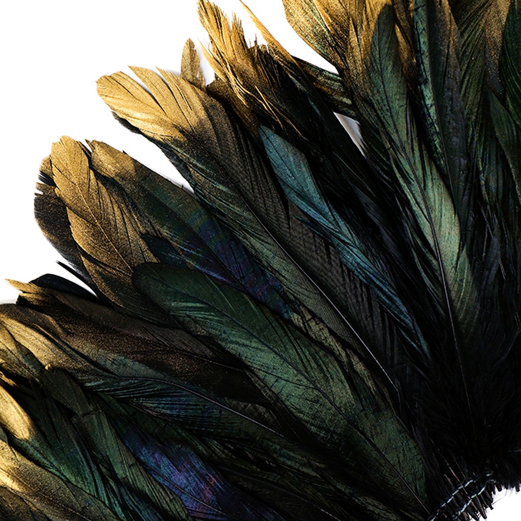 Rooster Coque Tails Feathers Black Iridescent Tipped Gold 5-8" [1/4 LB Bulk]
