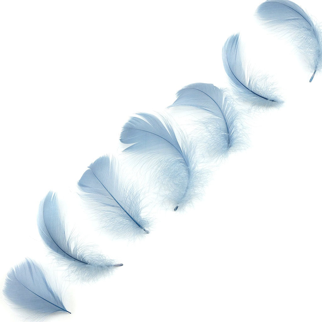 Bulk Goose Coquille Feathers Dyed - Country Blue - 1/4 lb