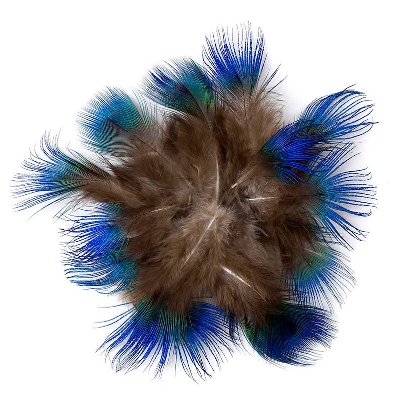 Peacock Feather Plumage-Blue  [{WEDDING CENTERPIECES}] - Natural