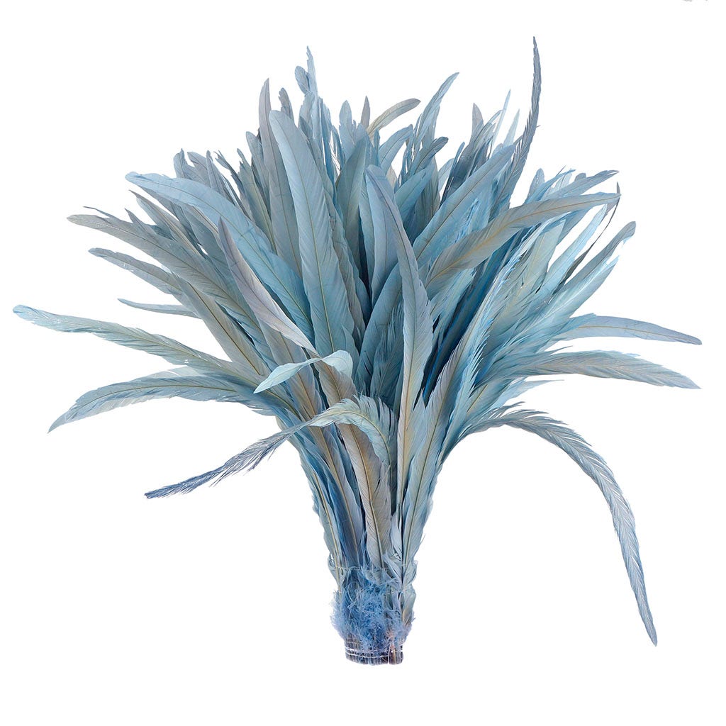 Rooster Coque Tails-Bleach-Dyed Light Blue
