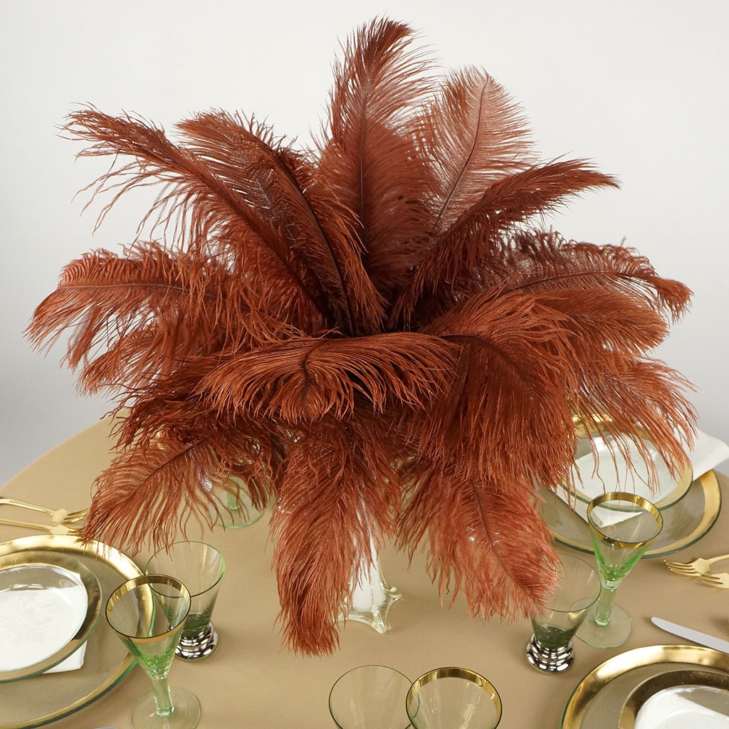 Ostrich Feathers 13-16" Drabs - Copper