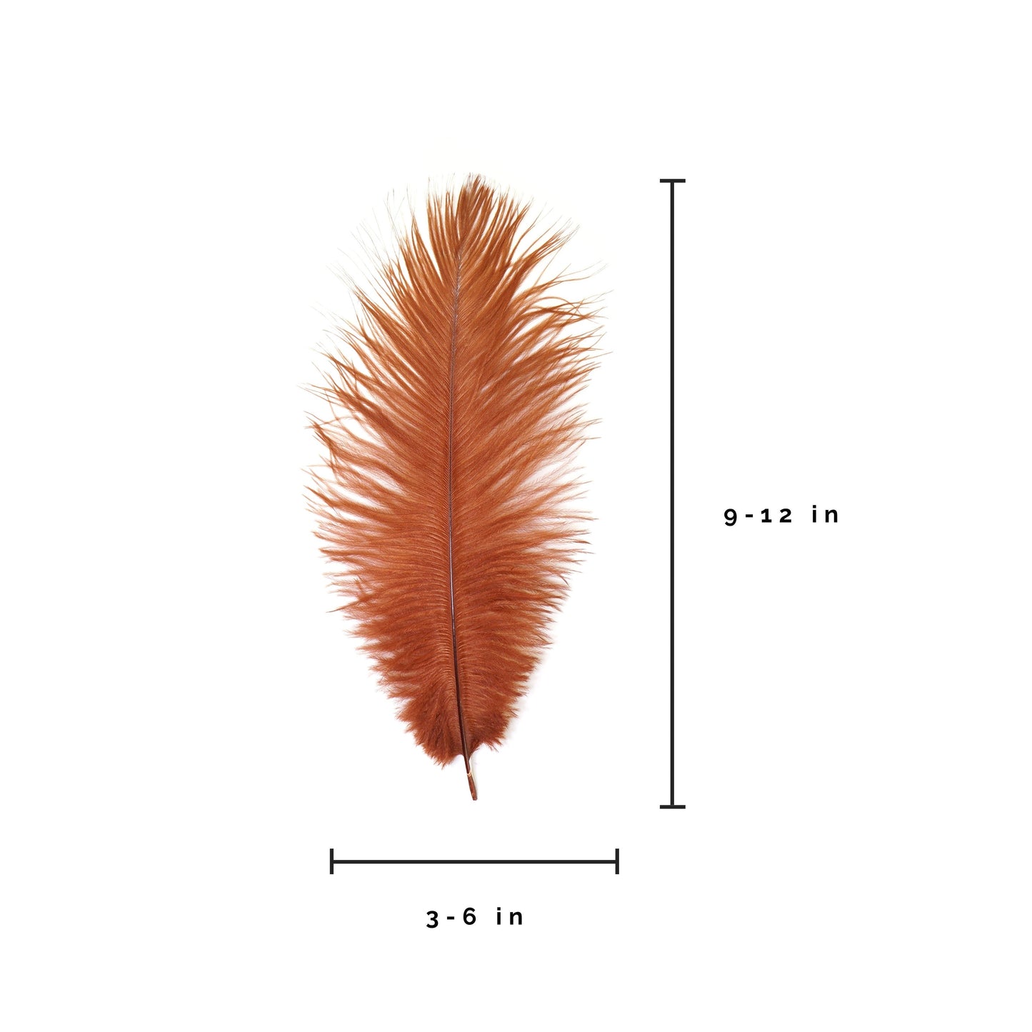 Ostrich Feathers 9-12" Drabs - Copper