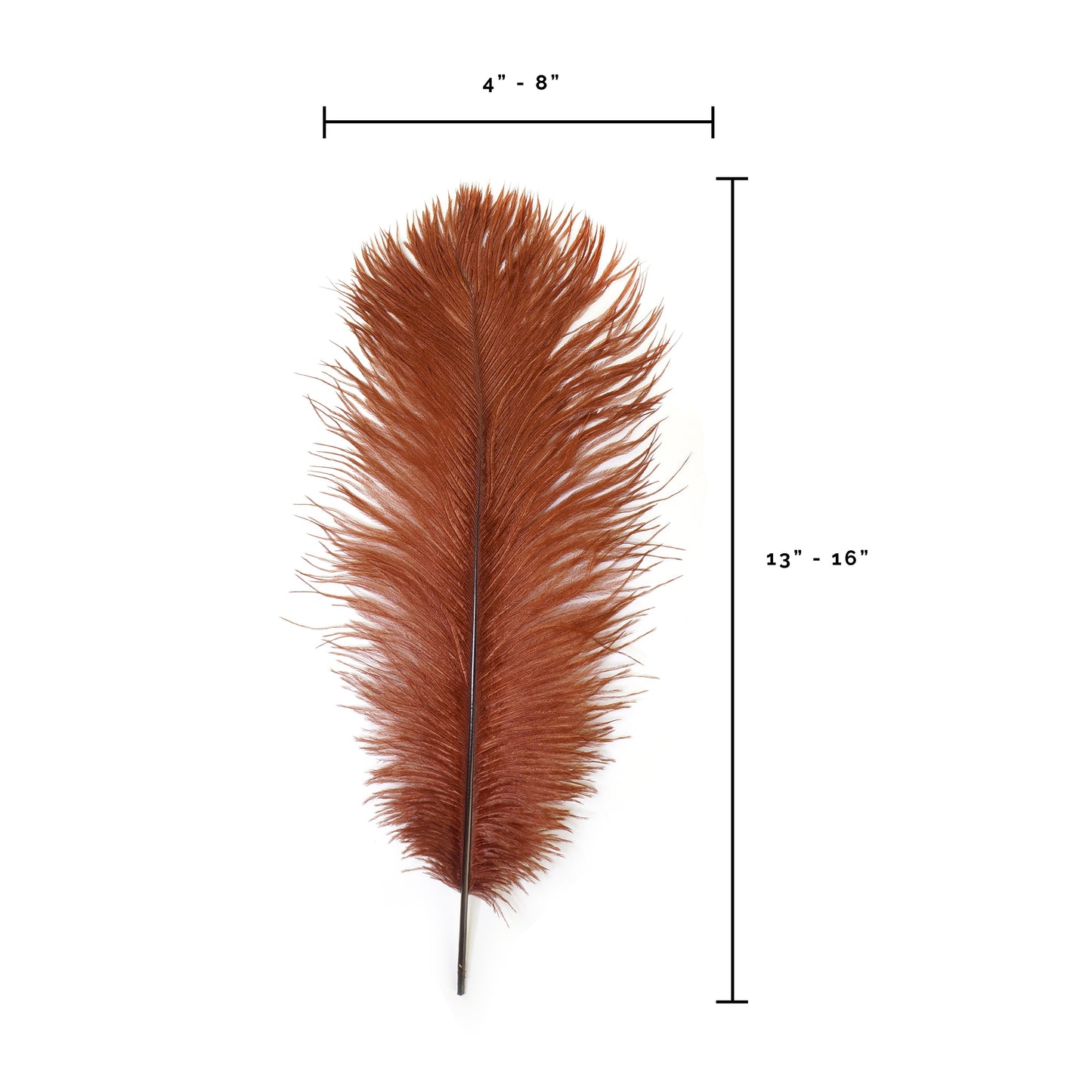 Ostrich Feathers 13-16" Drabs - Copper