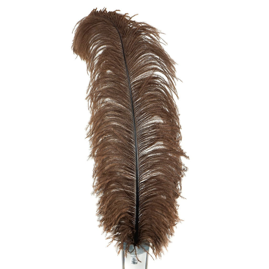 Large Ostrich Feathers - 20-25" Prime Femina Plumes - Brown