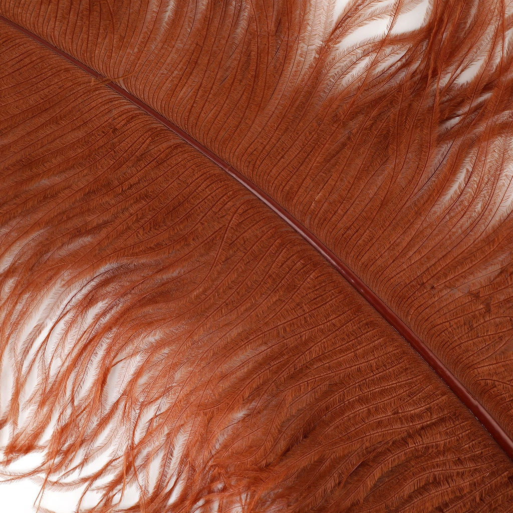 Large Ostrich Feathers - 20-25" Prime Femina Plumes - Copper