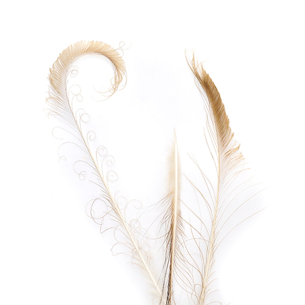 Peacock Swords Bleach Dyed - Golden Iridescent