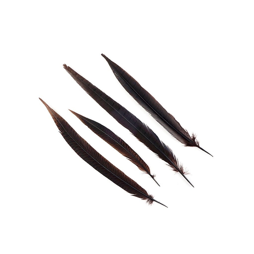 Assorted Pheasant Tails Dyed - Brown