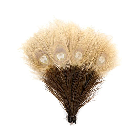 Peacock Tail Eyes Bleached and Dyed - 8-15” - 100 pc - Brown/Eggshell - 8 -15"